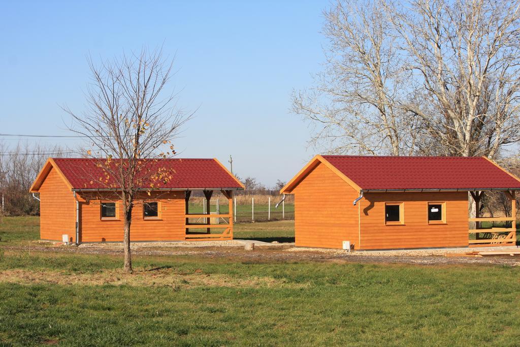 Pusztaeldorado Tiszagyenda Exterior foto